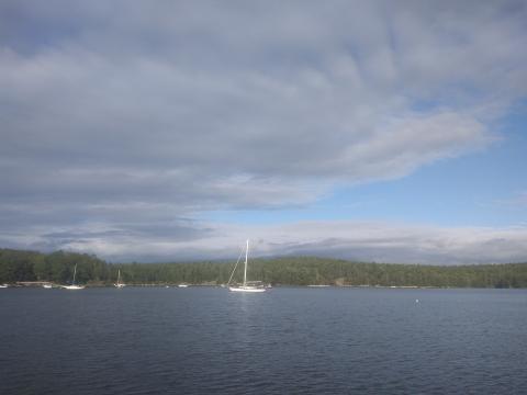 Sailboat on a bay surrounded by trees