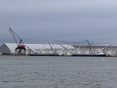 SpaceX ships including GO Ms. Tree