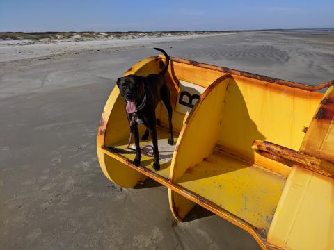 Louise on a buoy