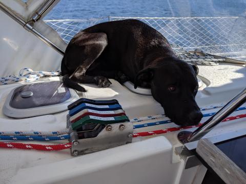 Louise on the boat