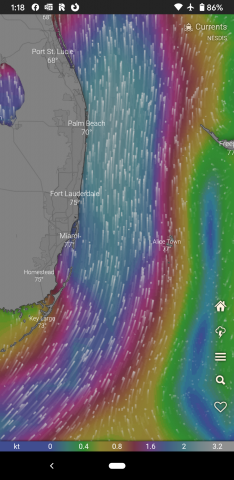 Windy app showing currents predictions for the Gulf Stream near S Florida